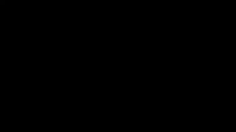 Image Title