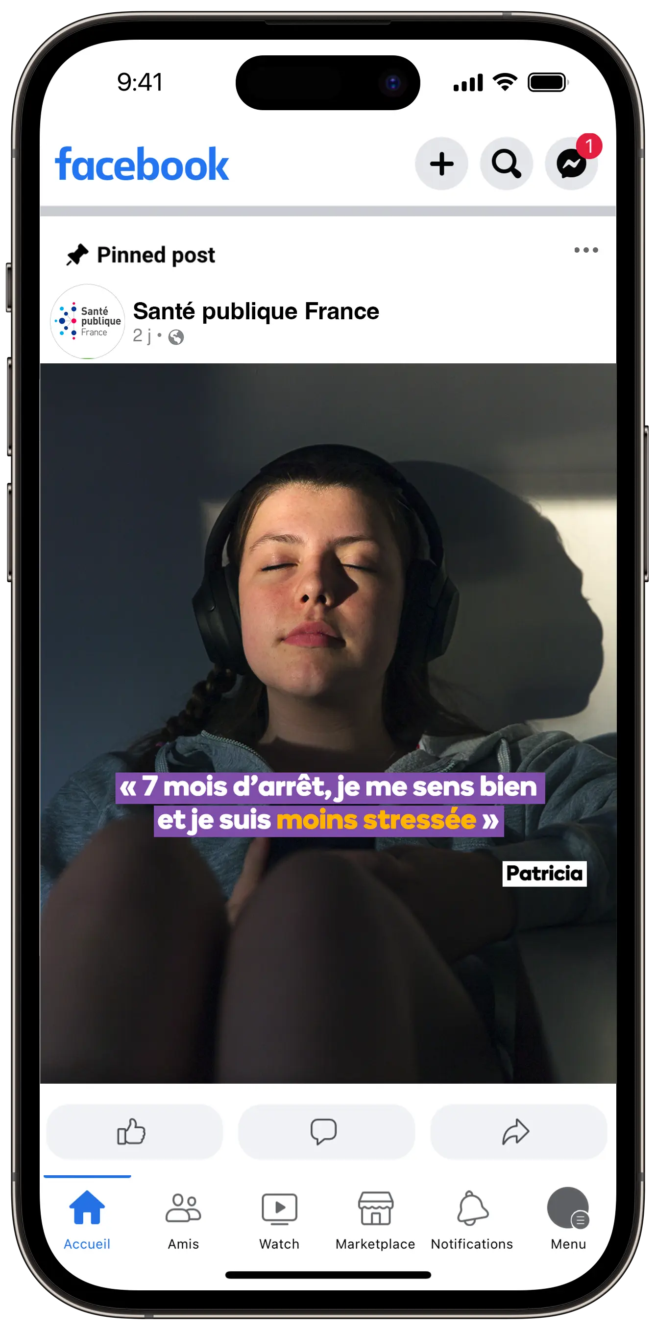 Image Title